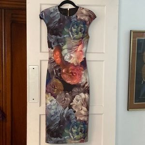 Ted Baker Size 1 Dress